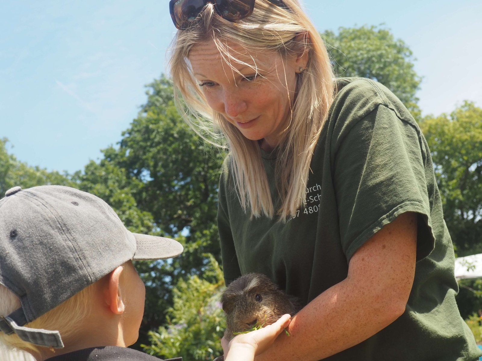 Whitchurch Forest Pre-School, Dorset